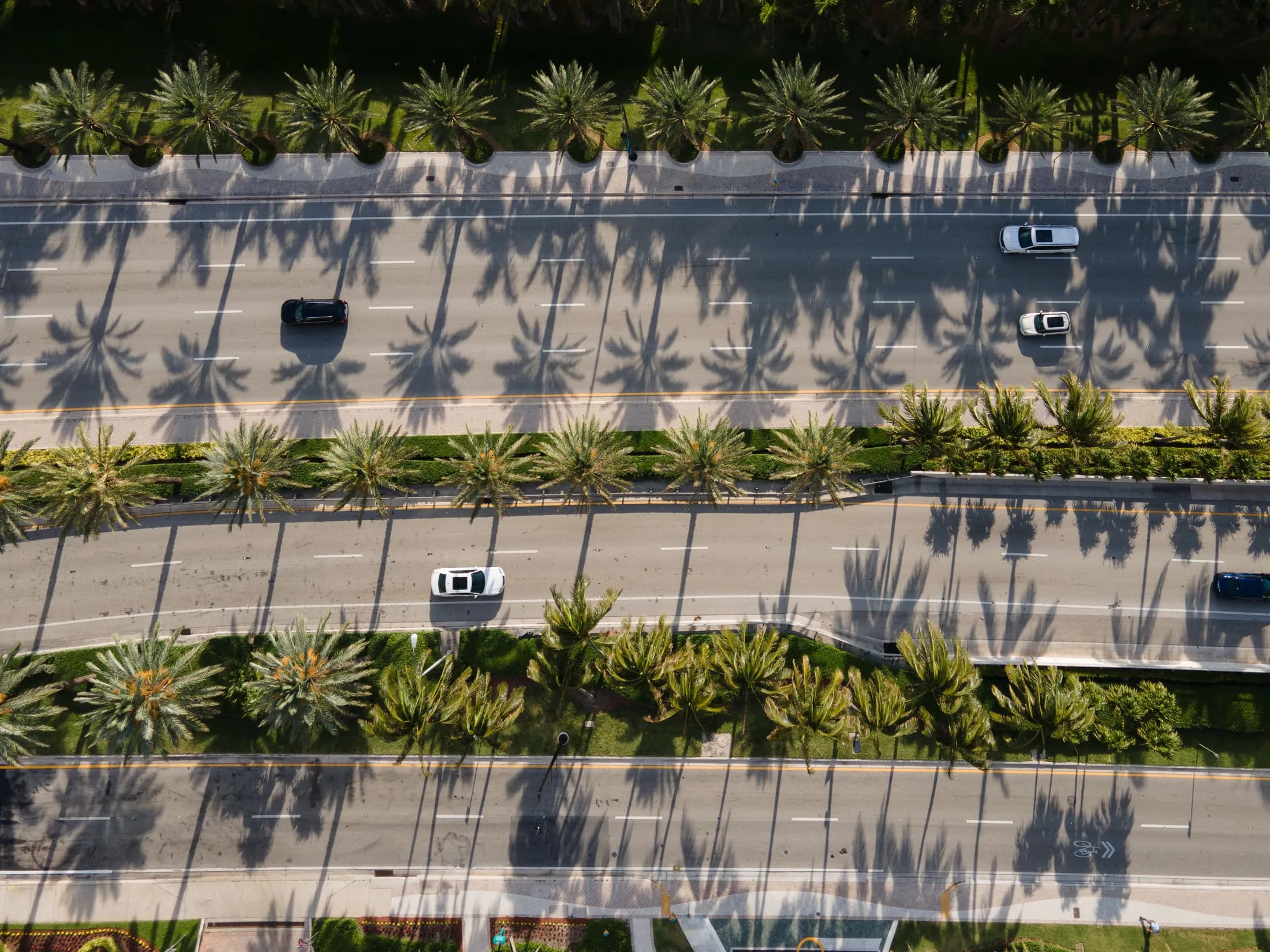 Aerial view of a palm-lined road in coastal Florida.